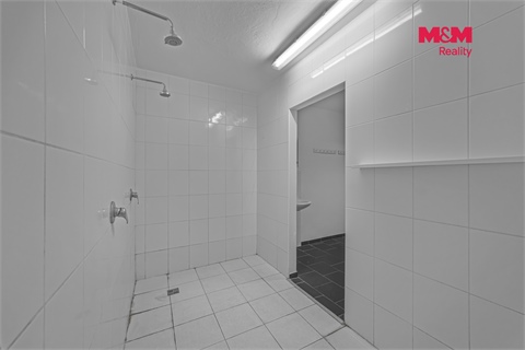 Prodej obchodních prostor, 195 m² - 10