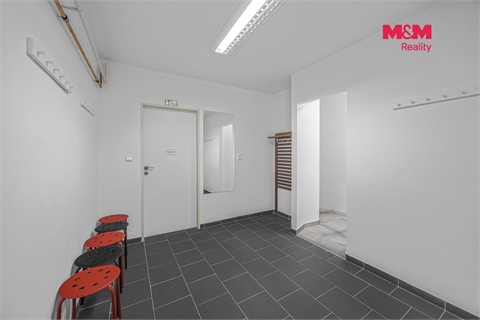 Prodej obchodních prostor, 195 m² - 16