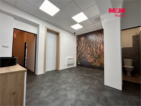 Pronájem obchodních prostor, 23 m² - 2