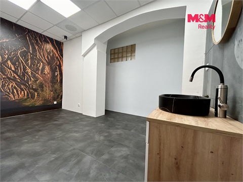Pronájem obchodních prostor, 23 m² - 4