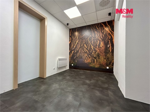 Pronájem obchodních prostor, 23 m² 4