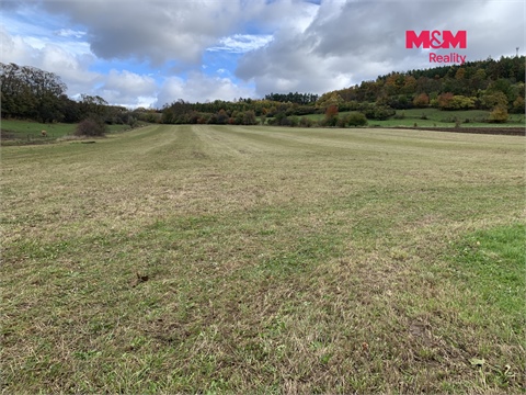 Prodej zemědělské půdy, 3 913 m² - 0