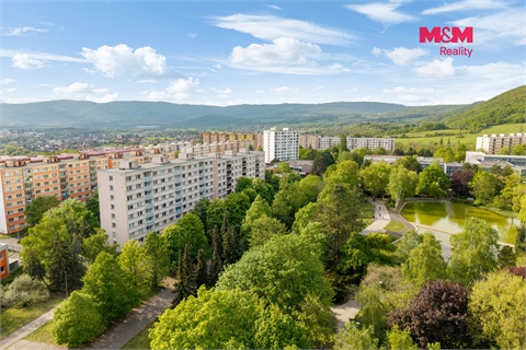 Prodej bytu 3+1, 68 m² 10