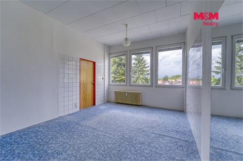Pronájem obchodních prostor, 39 m² - 0
