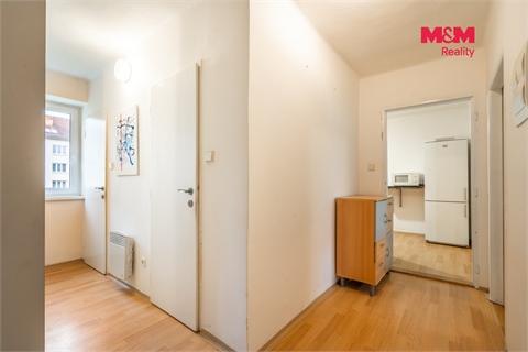 Pronájem bytu 1+1, 46 m² 6
