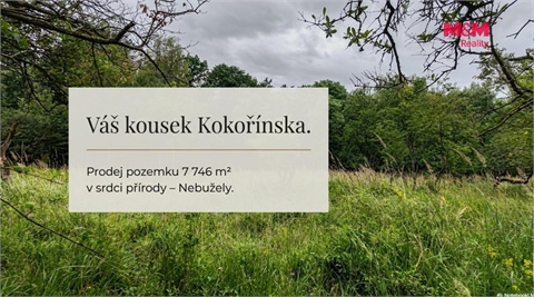 Prodej zemědělské půdy, 7 746 m² - 0