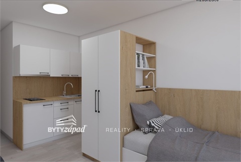 Pronájem bytu 1kk, 20 m² 4