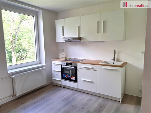 Pronájem bytu 1+1, 40 m² - 0