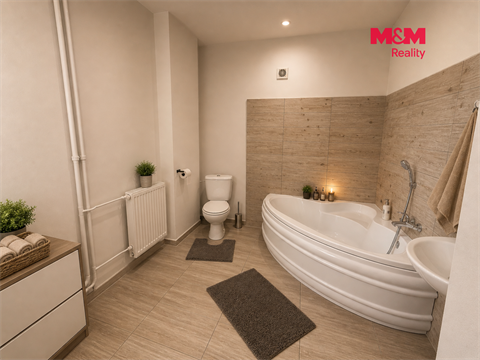 Prodej rodinného domu, 250 m² - 12