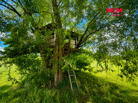 Prodej chaty / chapuly, 116 m² - 20