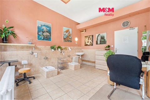 Prodej obchodních prostor, 24 m² 0