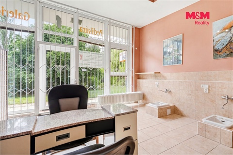 Prodej obchodních prostor, 24 m² 4