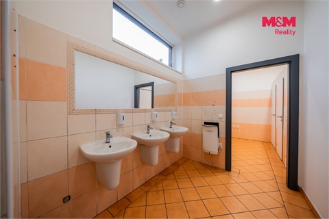 Prodej obchodních prostor, 600 m² 8