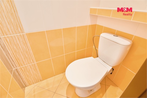 Prodej bytu 3+1, 60 m² 18