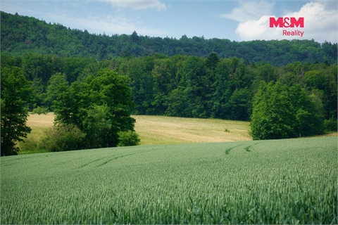 Prodej zemědělské půdy, 5 359 m² - 2