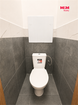 Pronájem bytu 3+1, 69 m² 6