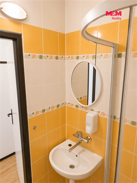 Pronájem bytu 2+1, 50 m² 8