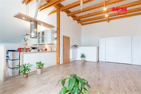 Pronájem bytu 3kk, 128 m² - 18