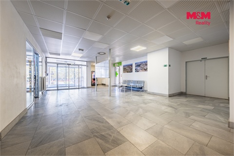 Pronájem obchodních prostor, 44 m² - 0