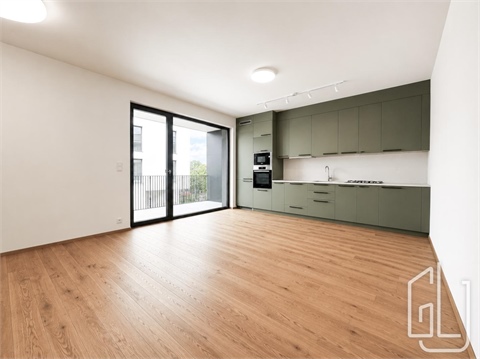 Pronájem bytu 2kk, 54 m² - 4