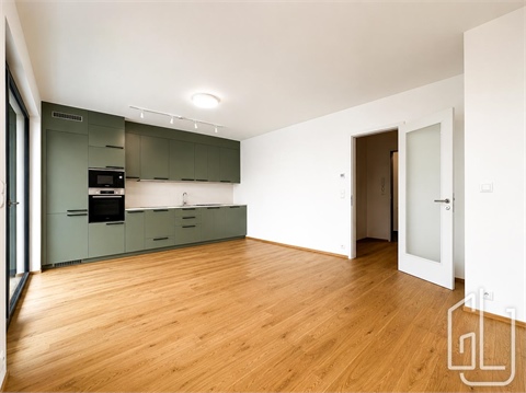 Pronájem bytu 2kk, 54 m² - 0