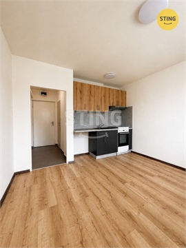 Pronájem bytu 1+1, 37 m² 6