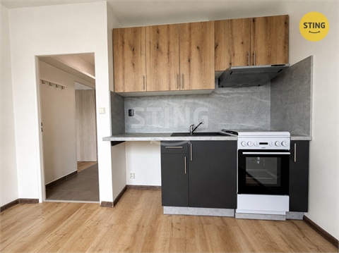Pronájem bytu 1+1, 37 m² - 0