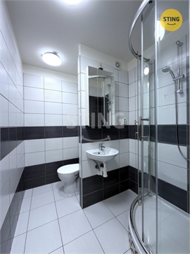 Pronájem bytu 1+1, 37 m² 12