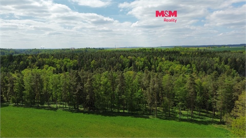 Prodej lesu, 79 857 m² 0