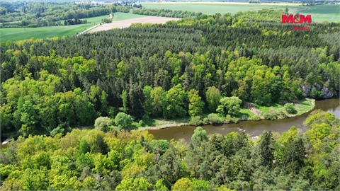 Prodej lesu, 79 857 m² - 0