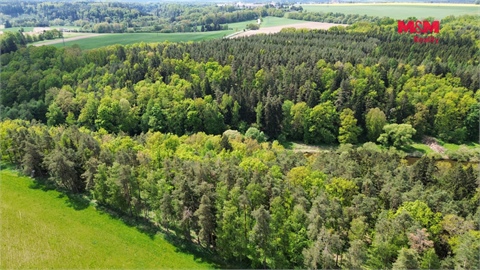 Prodej lesu, 79 857 m² 2