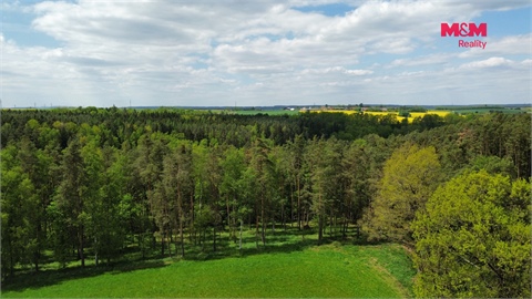 Prodej lesu, 79 857 m² 6