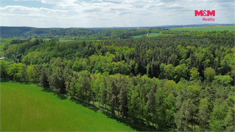 Prodej lesu, 79 857 m² 4