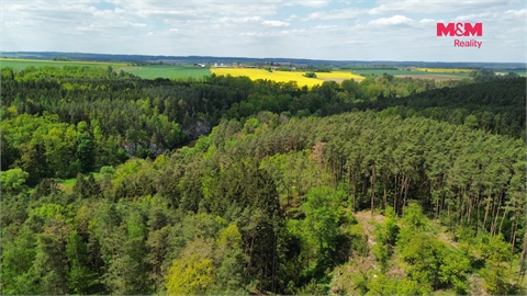 Prodej lesu, 79 857 m² - 2