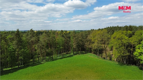 Prodej lesu, 79 857 m² - 6