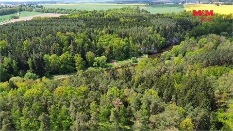 Prodej lesu, 79 857 m² - 4