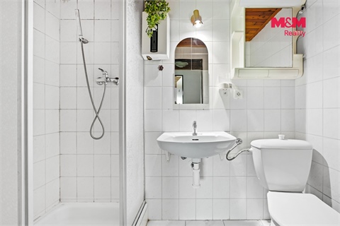 Prodej rodinného domu, 360 m² - 10