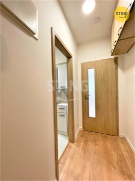Pronájem bytu 1kk, 34 m² 12