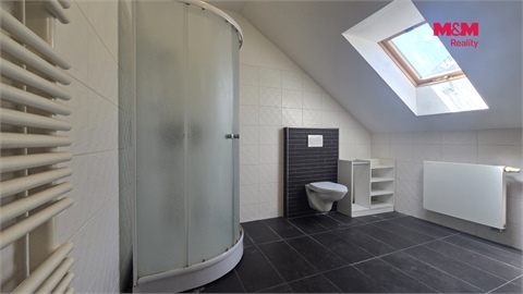 Pronájem bytu 3kk, 110 m² 12