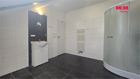 Pronájem bytu 3kk, 110 m² 10