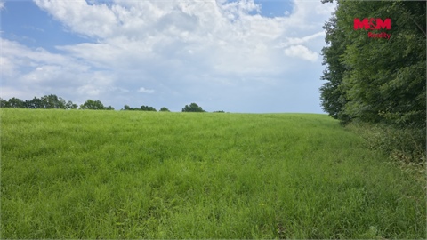 Prodej zahrady, 1 050 m² 4