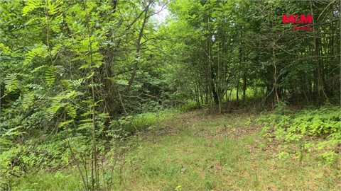 Prodej zahrady, 1 050 m² - 4