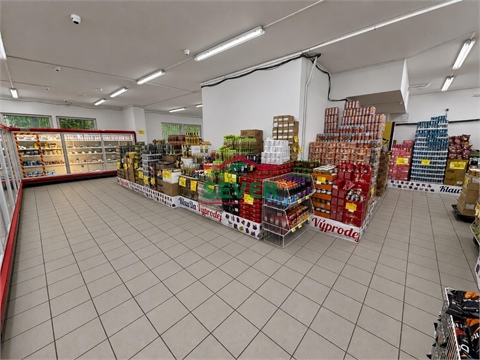 Prodej obchodních prostor, 220 m² - 4