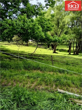 Prodej rodinného domu, 300 m² 4