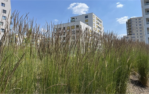 Prodej bytu 3kk, 80 m² - 8