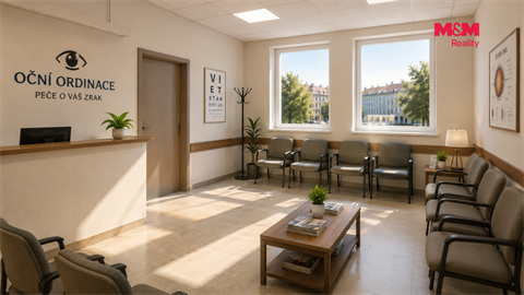 Prodej obchodních prostor, 425 m² 12