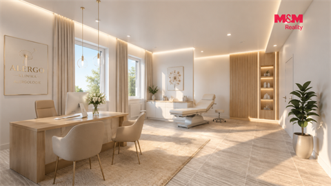 Prodej obchodních prostor, 425 m² 6