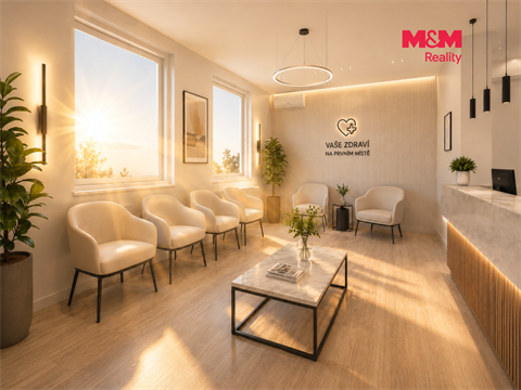 Prodej obchodních prostor, 425 m² - 10