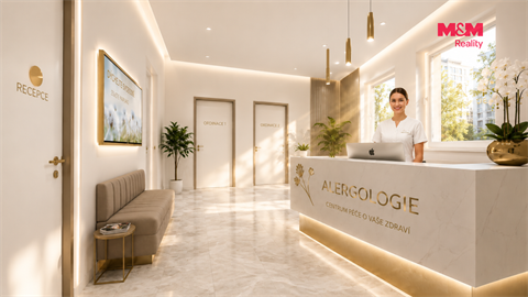 Prodej obchodních prostor, 425 m² 10