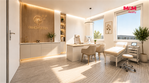 Prodej obchodních prostor, 425 m² 4